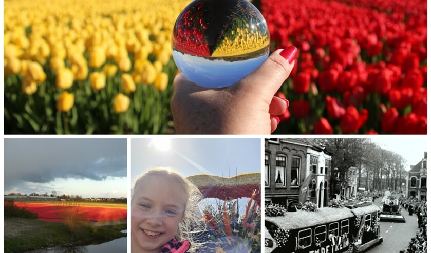 <p>Collage van de winnende foto's met bovenin die van Gieny Westra.</p>